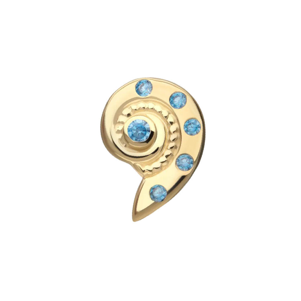 14k  Sea Shell- Threadless Attachment