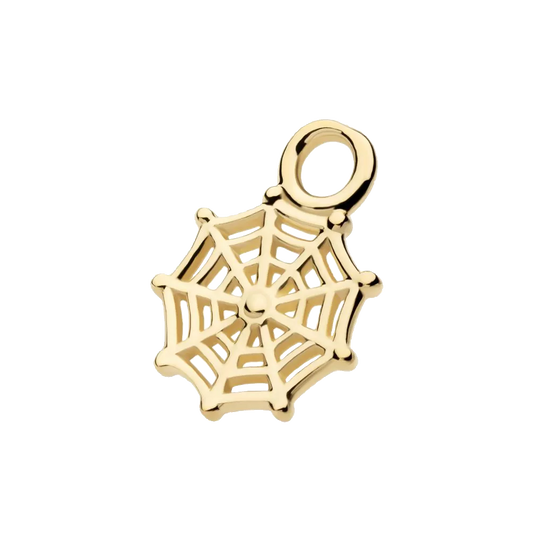 Spiderweb Charm